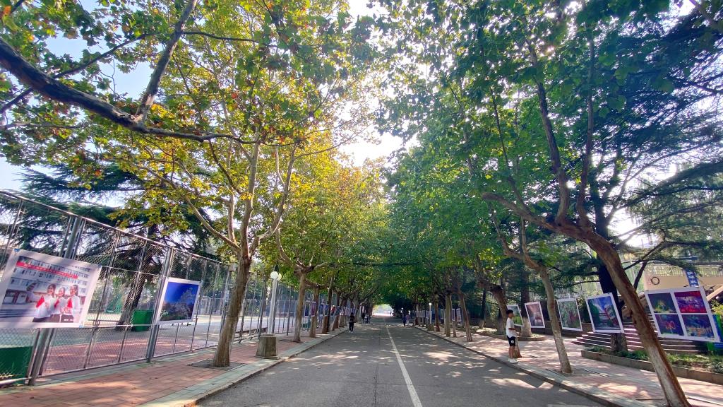 bv伟德国际体育