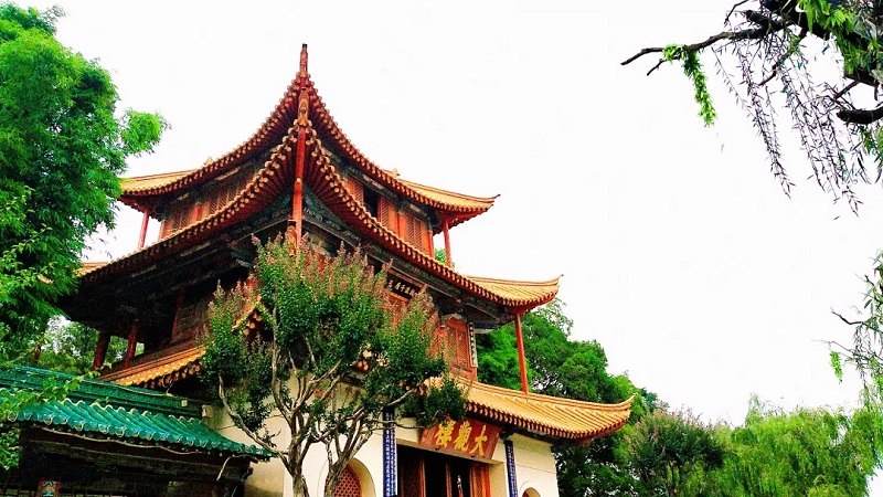 bv伟德国际体育