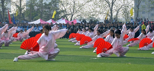 bv伟德国际体育