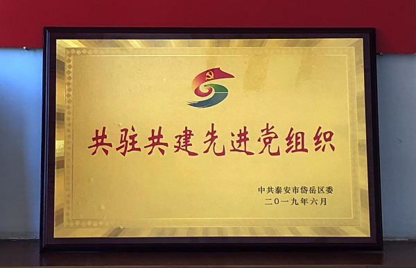 bv伟德国际体育