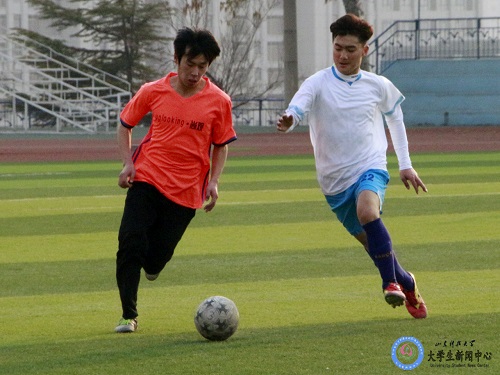 bv伟德国际体育