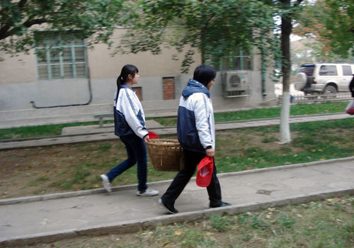 bv伟德国际体育