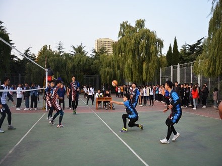 bv伟德国际体育