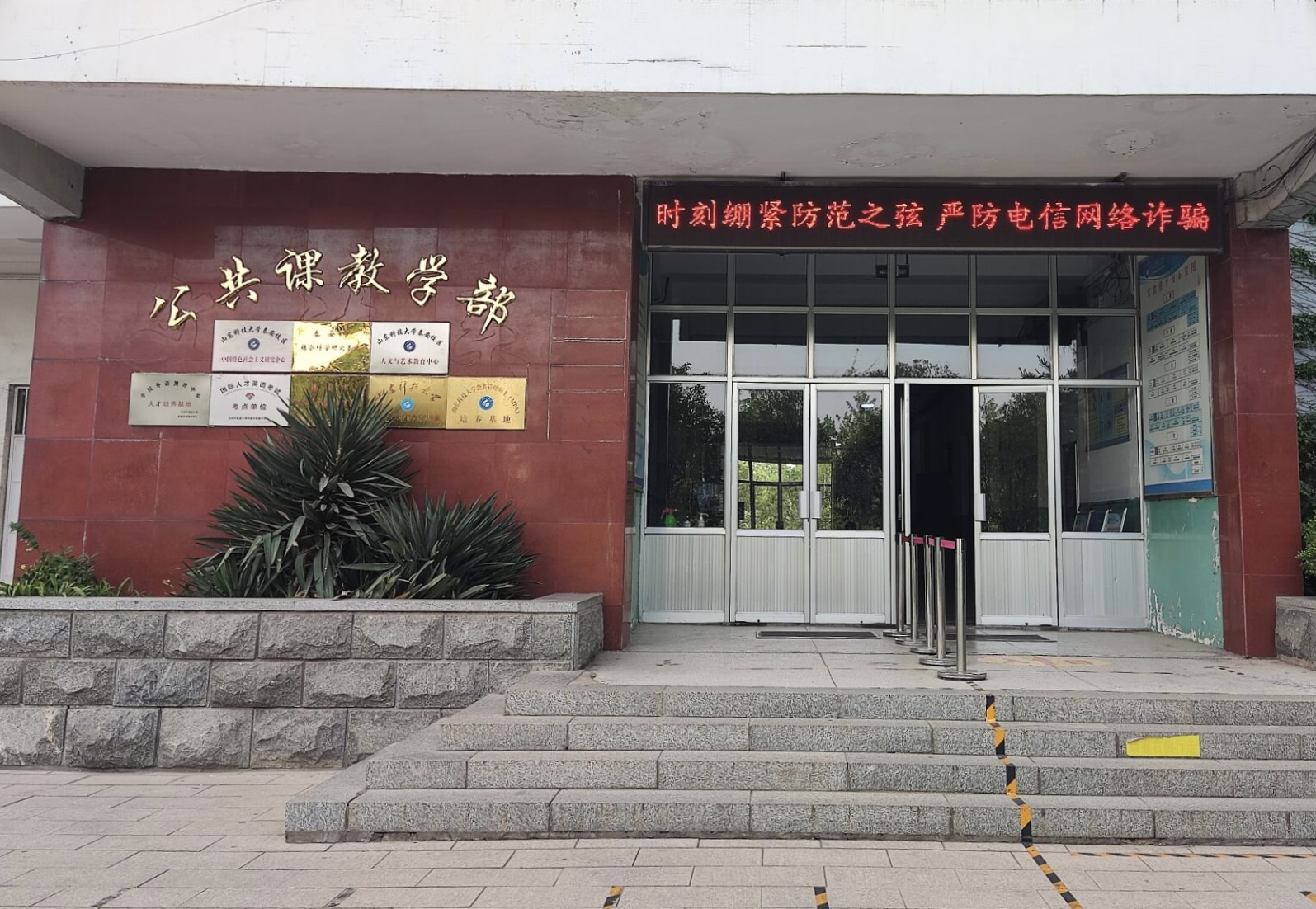 bv伟德国际体育