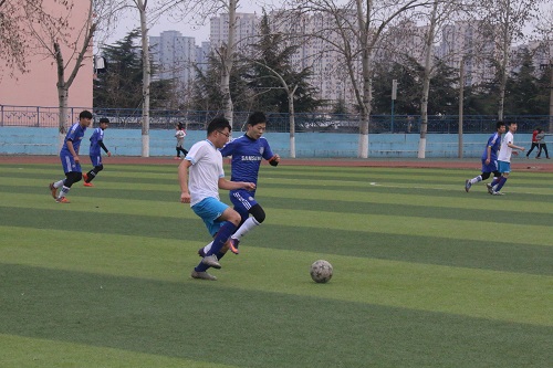 bv伟德国际体育