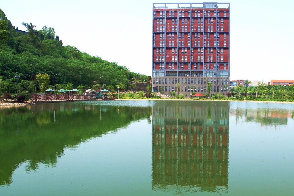 bv伟德国际体育
