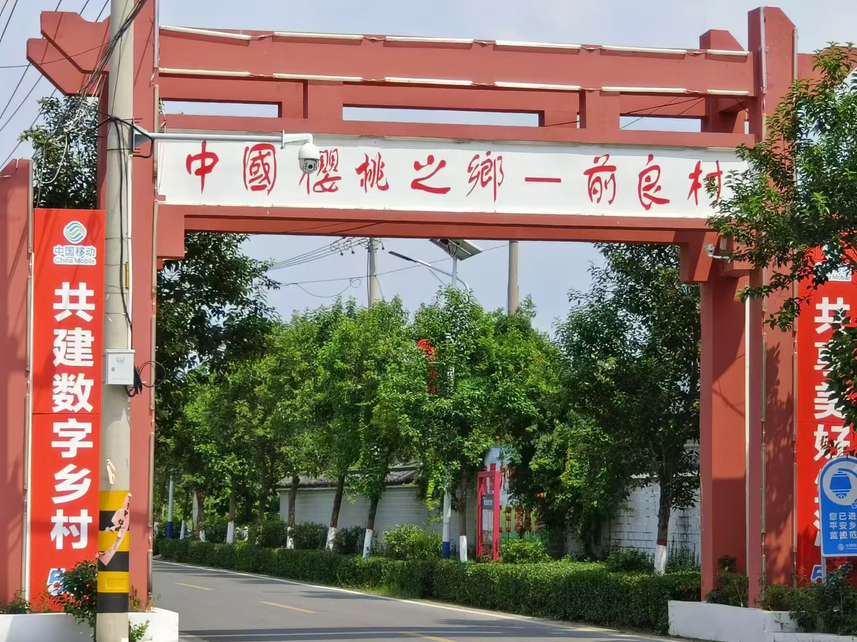 bv伟德国际体育