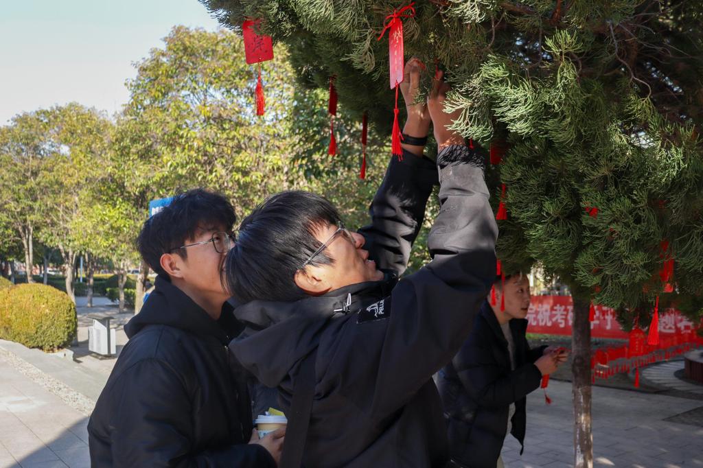 bv伟德国际体育