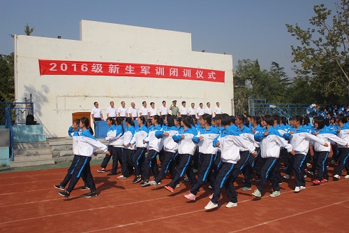 bv伟德国际体育