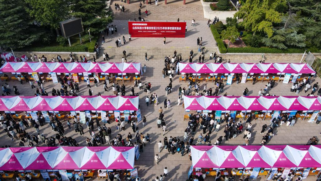 bv伟德国际体育