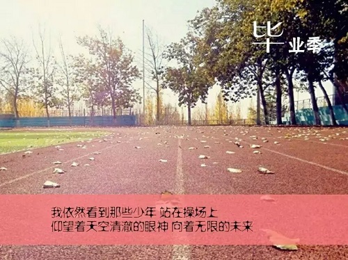 bv伟德国际体育