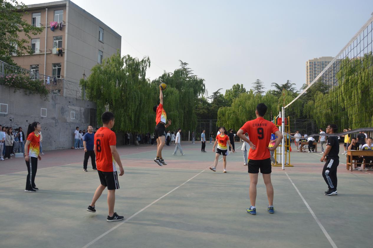 bv伟德国际体育