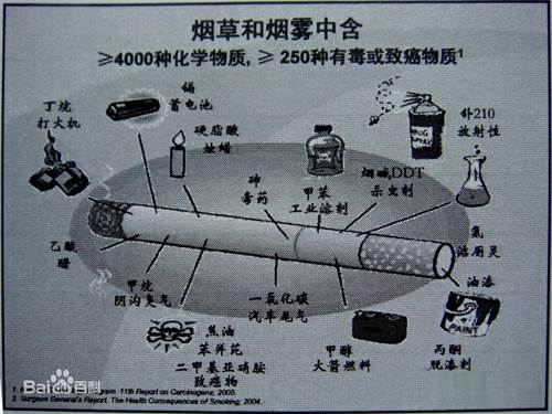 bv伟德国际体育
