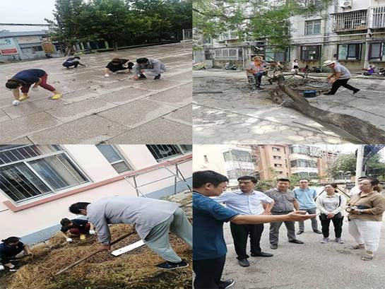 bv伟德国际体育