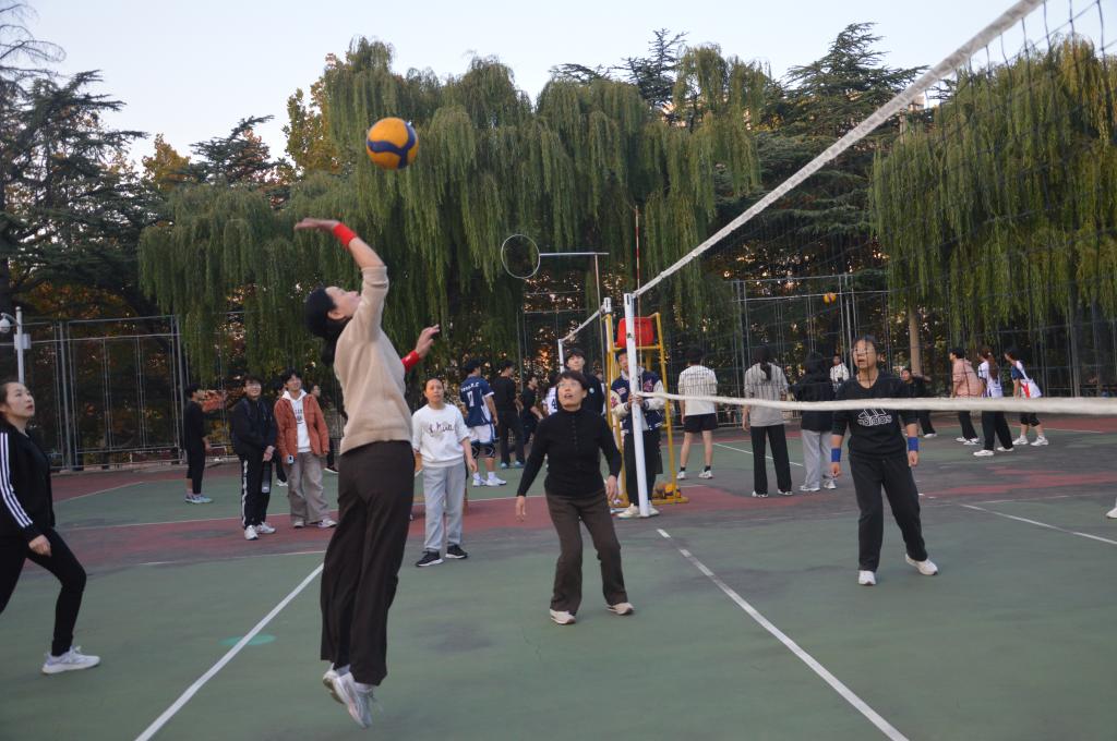 bv伟德国际体育