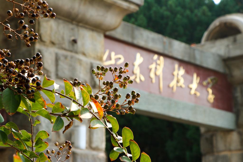 bv伟德国际体育