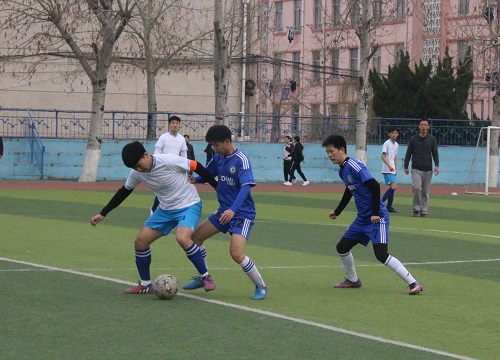 bv伟德国际体育