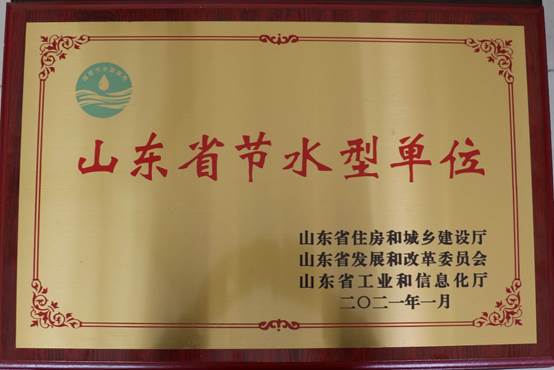 bv伟德国际体育