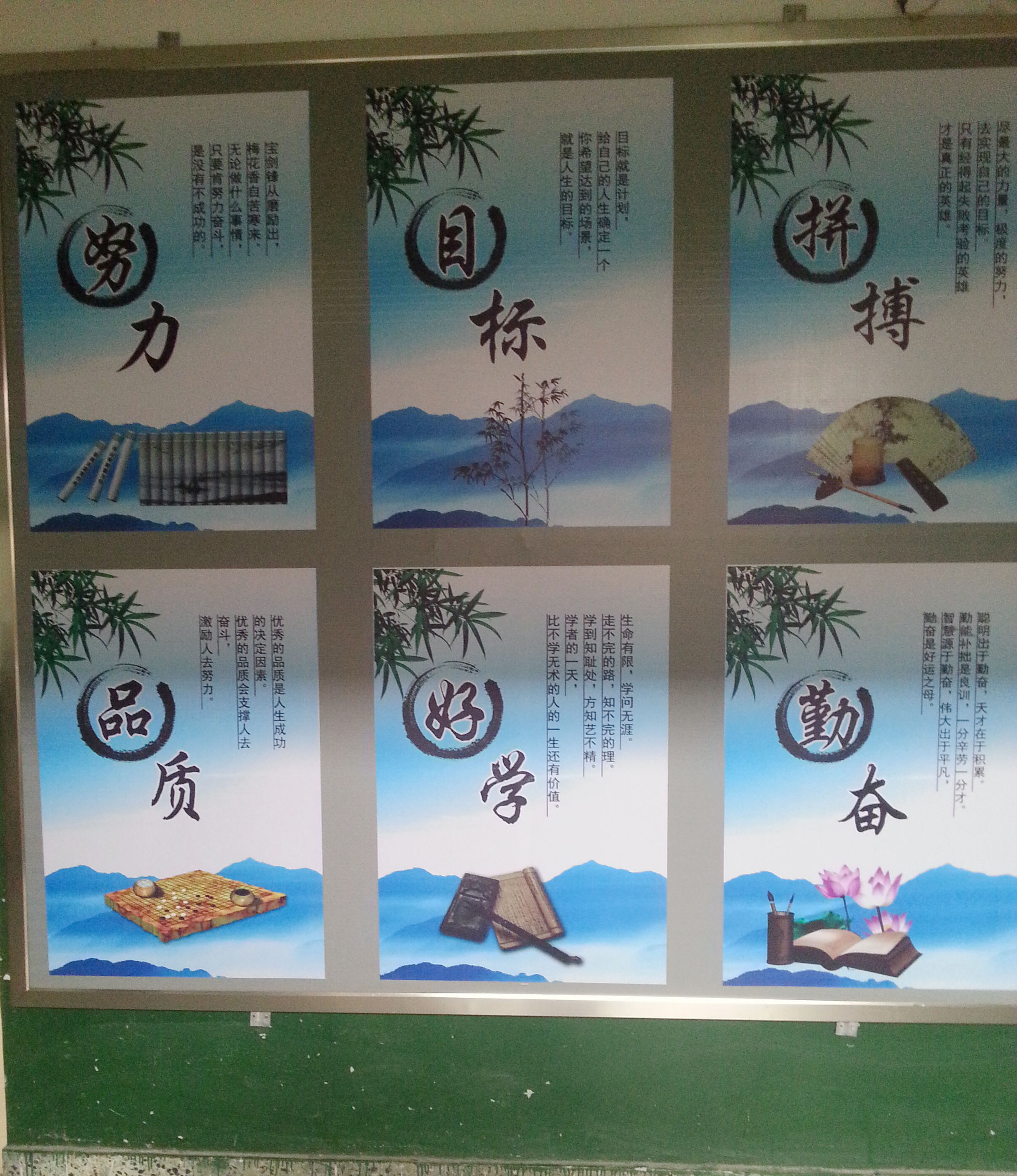 bv伟德国际体育