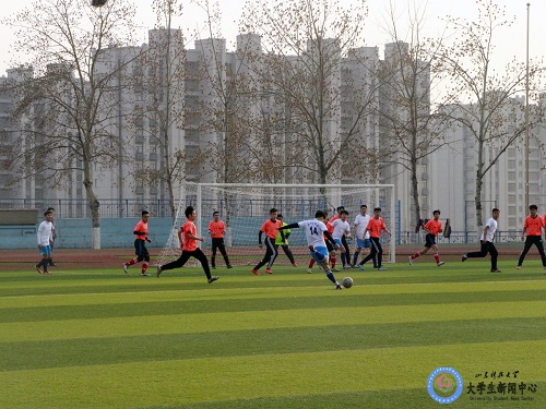 bv伟德国际体育