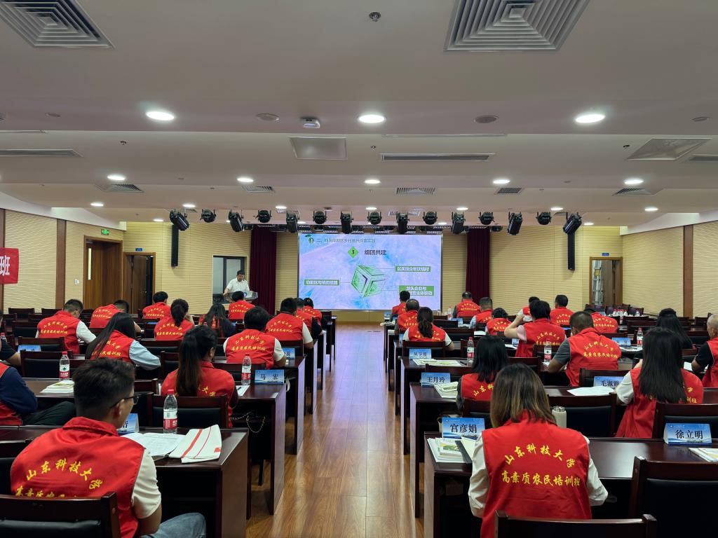 bv伟德国际体育
