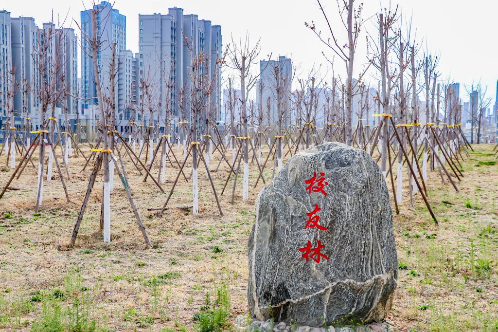 bv伟德国际体育