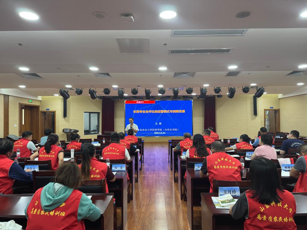 bv伟德国际体育
