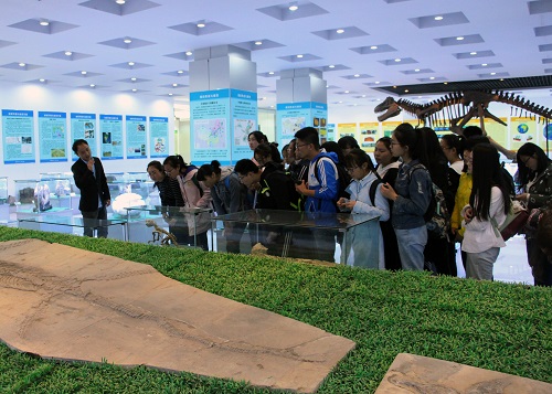 bv伟德国际体育