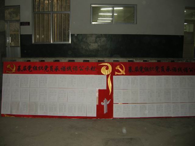 bv伟德国际体育