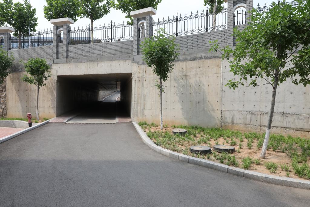 bv伟德国际体育