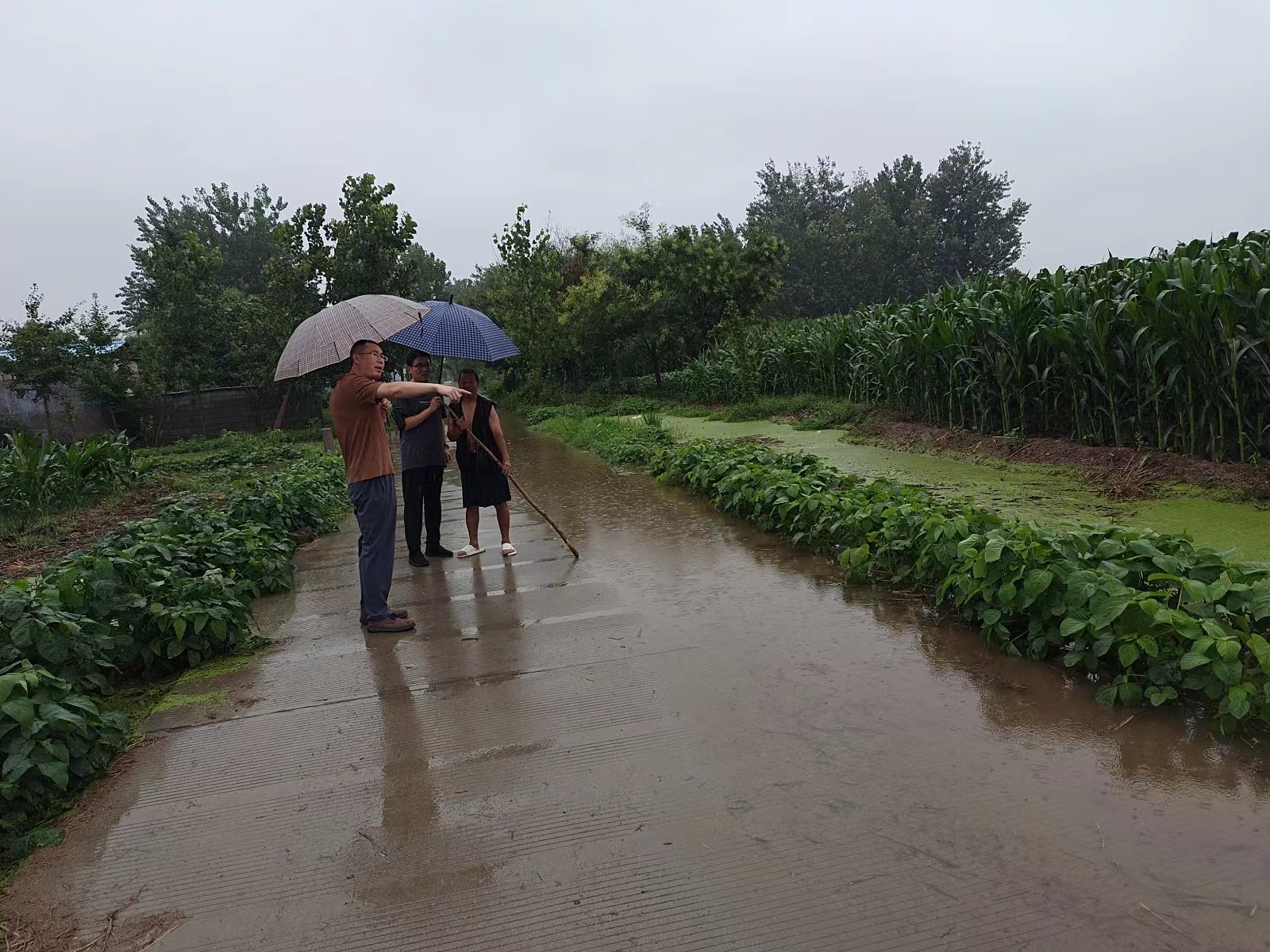 bv伟德国际体育