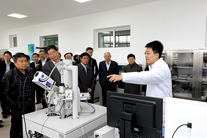bv伟德国际体育