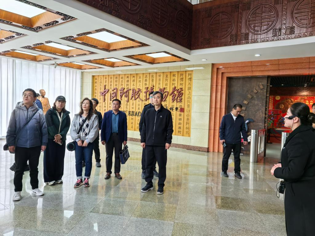 bv伟德国际体育