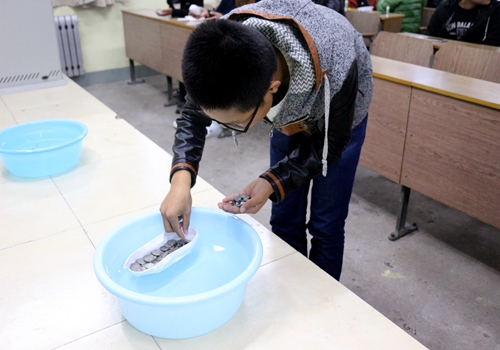 bv伟德国际体育