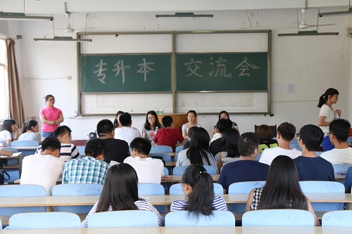 bv伟德国际体育