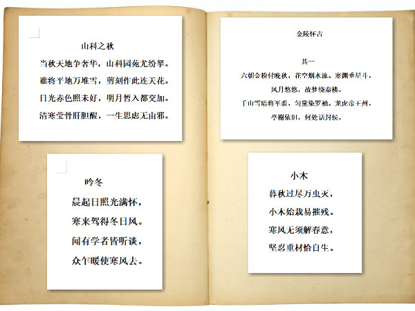 bv伟德国际体育