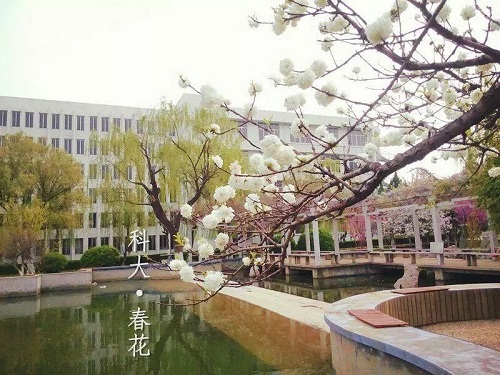 bv伟德国际体育