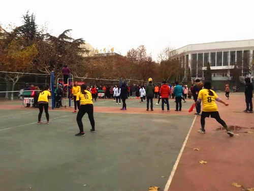 bv伟德国际体育