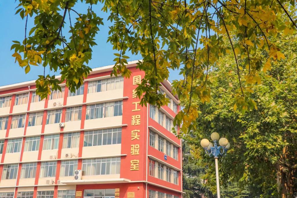 bv伟德国际体育