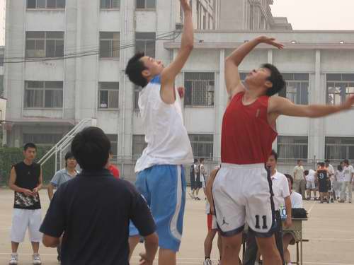 bv伟德国际体育