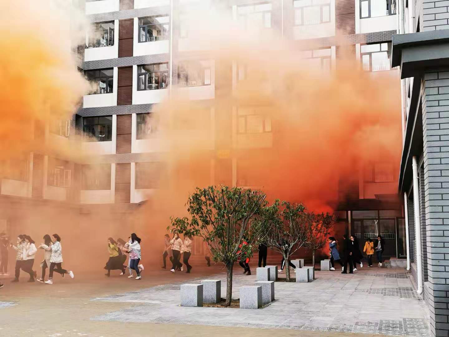 bv伟德国际体育