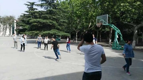 bv伟德国际体育