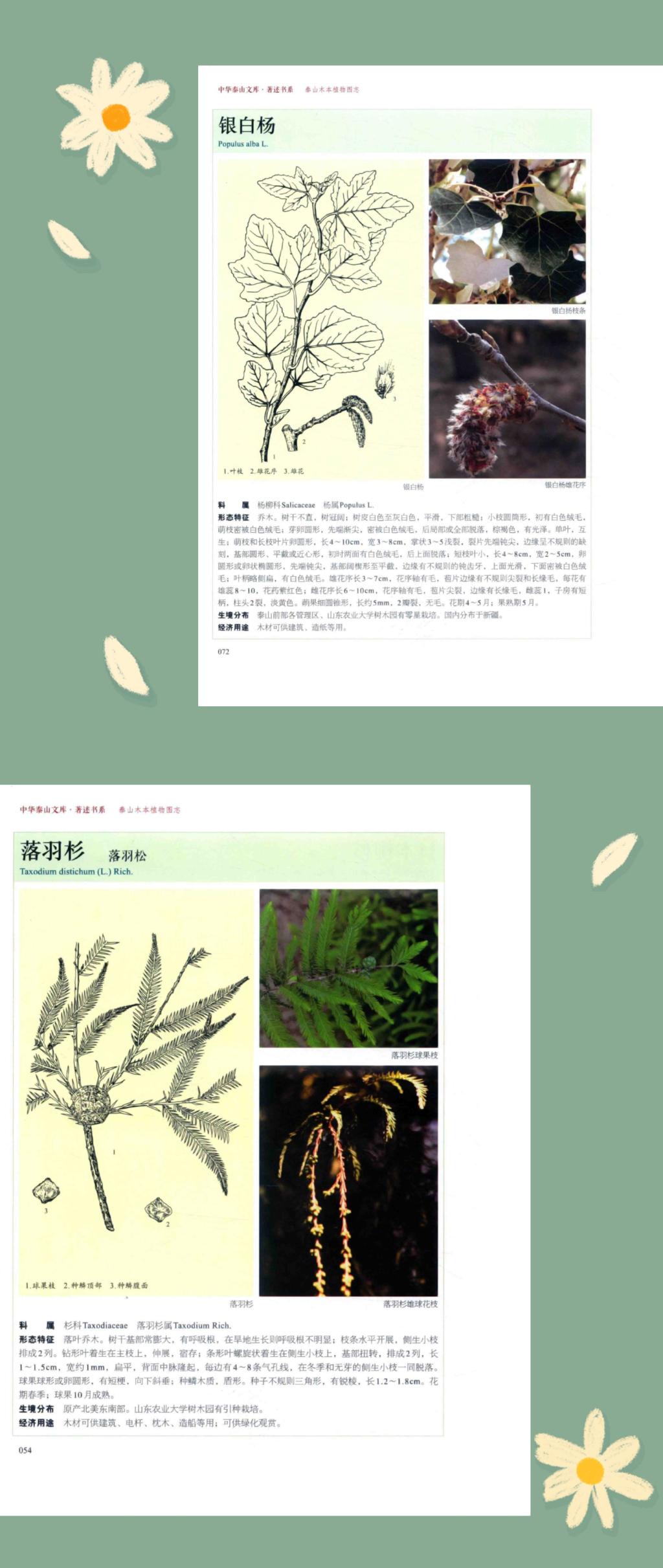 bv伟德国际体育