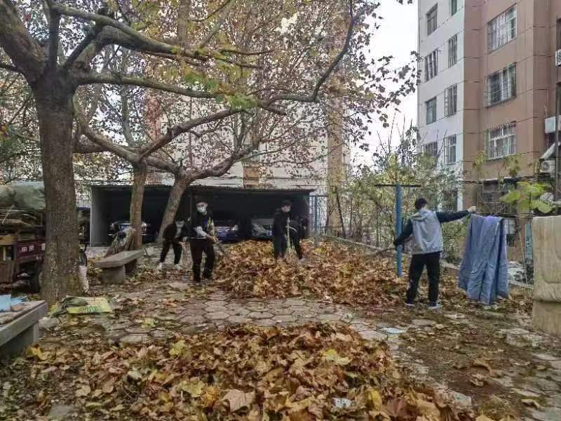 bv伟德国际体育