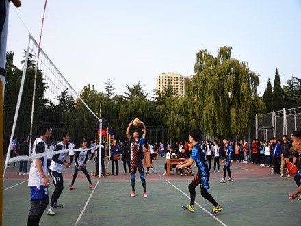 bv伟德国际体育