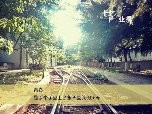 bv伟德国际体育