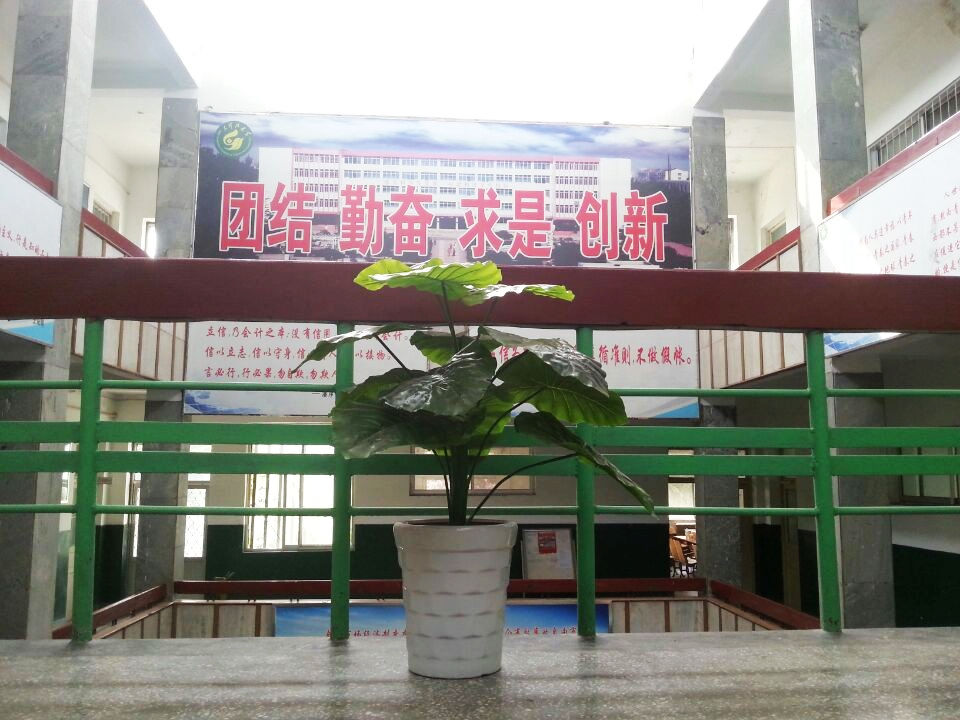 bv伟德国际体育