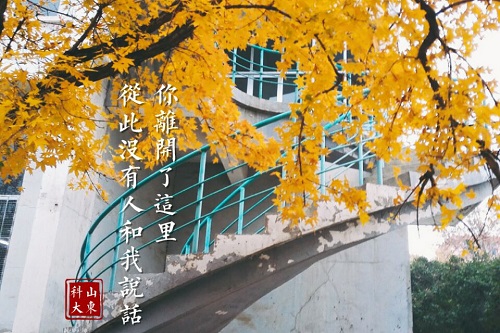 bv伟德国际体育