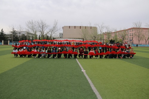 bv伟德国际体育