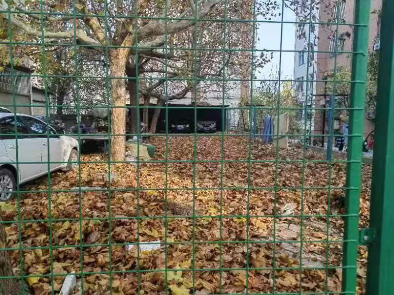 bv伟德国际体育
